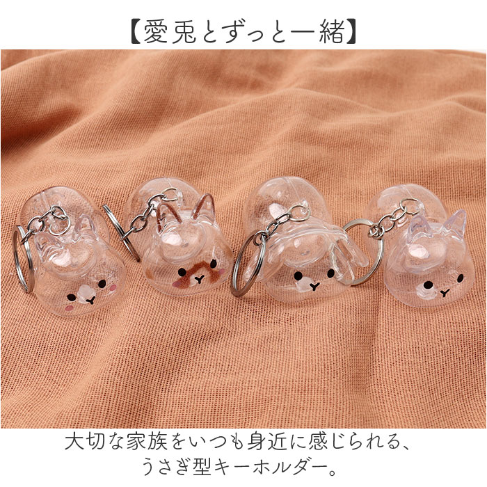 うさぎの毛 キーホルダー 通販 ペット 遺毛 チャーム ケース 透明 遺毛入れ 犬の毛収納ボトル メモリアルグッズ うさぎ ウサギ 毛 犬 猫 うさぎの毛 |  | 05