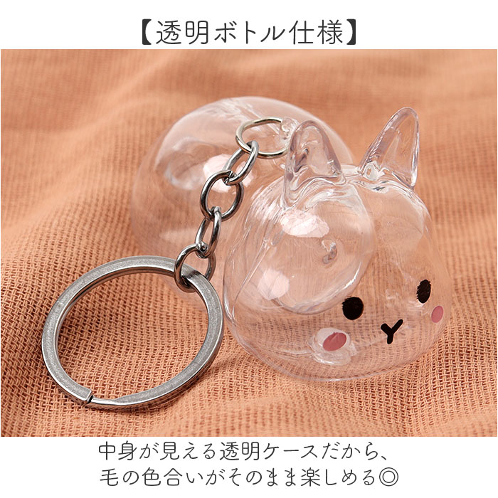 うさぎの毛 キーホルダー 通販 ペット 遺毛 チャーム ケース 透明 遺毛入れ 犬の毛収納ボトル メモリアルグッズ うさぎ ウサギ 毛 犬 猫 うさぎの毛 |  | 07