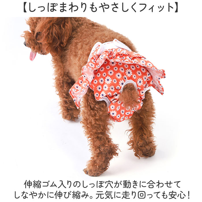 マナーパンツ サニタリーパンツ 犬 かわいい 通販 おむつカバー 犬用マナーパンツ 生理パンツ 犬用パンツ おむつ オムツ ペット 犬の服 マナーパンツ | BACKYARD FAMILY | 08