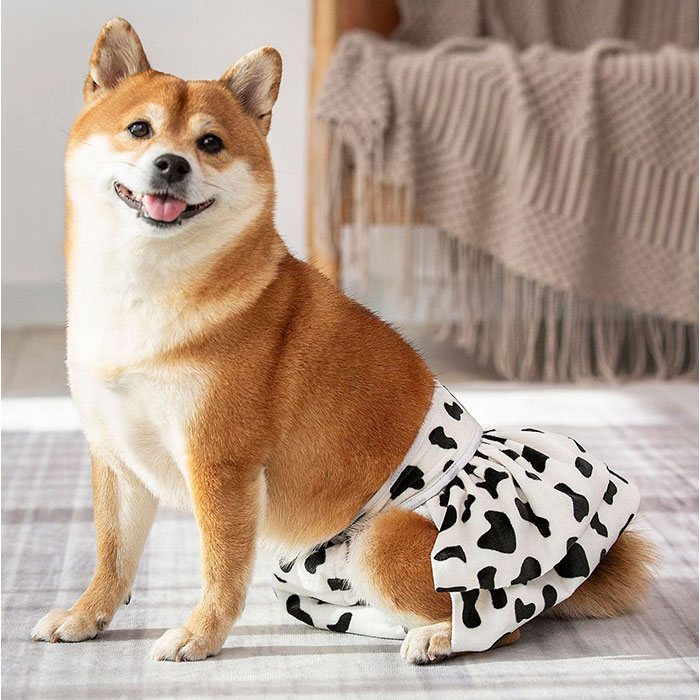 マナーパンツ サニタリーパンツ 犬用 かわいい 通販 おむつカバー 犬用マナーパンツ 生理パンツ 犬用パンツ おむつ オムツ ペット 犬の服 犬 マナーパンツ | BACKYARD FAMILY | 11
