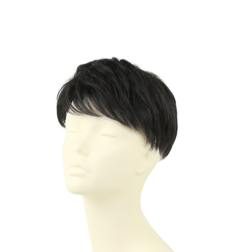 プリシラ PRISILA 通販PRISILA プリシラ メンズ 部分ウィッグ 部分ウイッグ 部分かつら ヘアピース カバーピース かつら ウィッグ ウイッグ メンズウィッグの画像