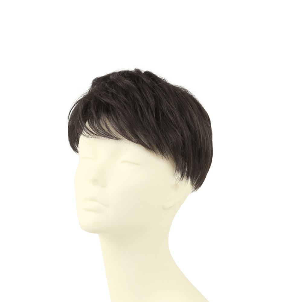 プリシラ PRISILA 通販PRISILA プリシラ メンズ 部分ウィッグ 部分ウイッグ 部分かつら ヘアピース カバーピース かつら ウィッグ ウイッグ メンズウィッグの画像