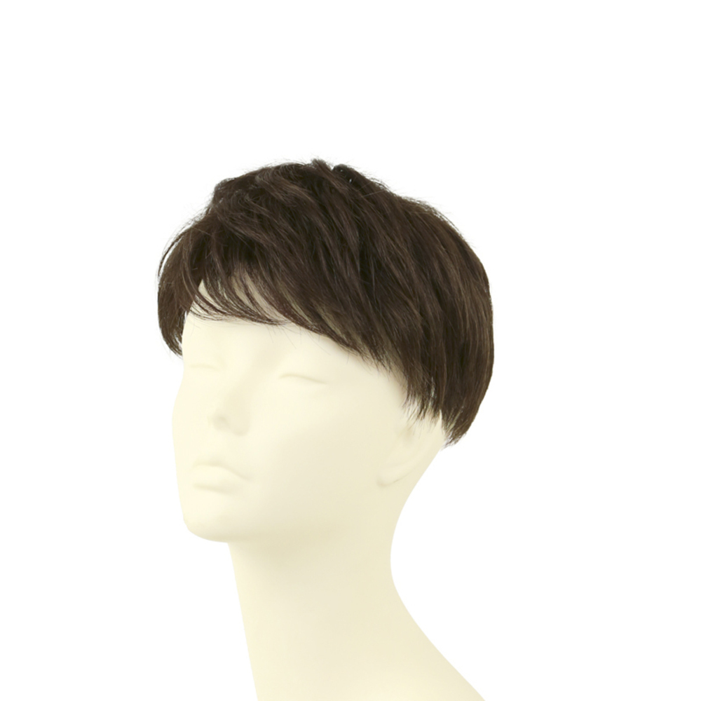 プリシラ PRISILA 通販PRISILA プリシラ メンズ 部分ウィッグ 部分ウイッグ 部分かつら ヘアピース カバーピース かつら ウィッグ ウイッグ メンズウィッグの画像