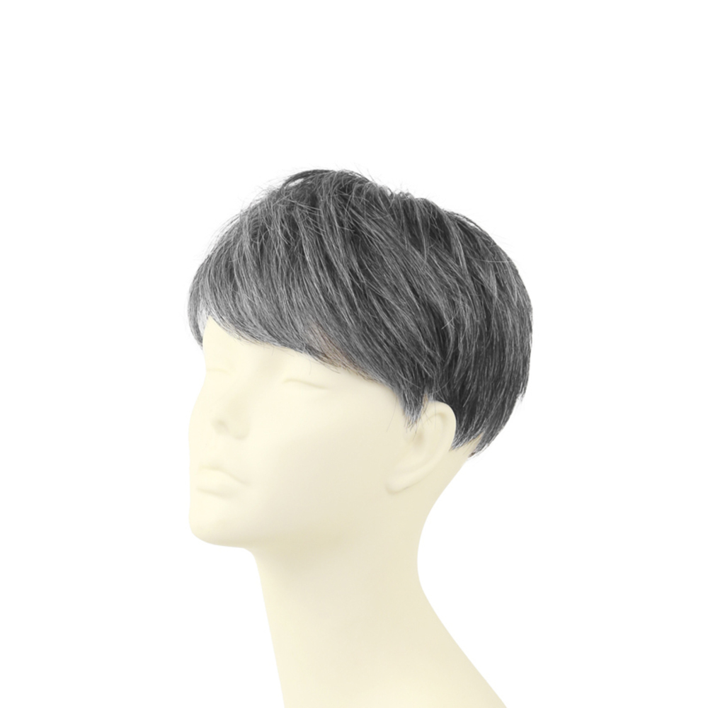 プリシラ PRISILA 通販PRISILA プリシラ メンズ 部分ウィッグ 部分ウイッグ 部分かつら ヘアピース カバーピース かつら ウィッグ ウイッグ メンズウィッグの画像