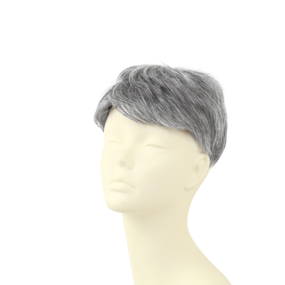 プリシラ PRISILA 通販PRISILA プリシラ メンズ 部分ウィッグ 部分ウイッグ 部分かつら ヘアピース カバーピース かつら ウィッグ ウイッグ メンズウィッグの画像