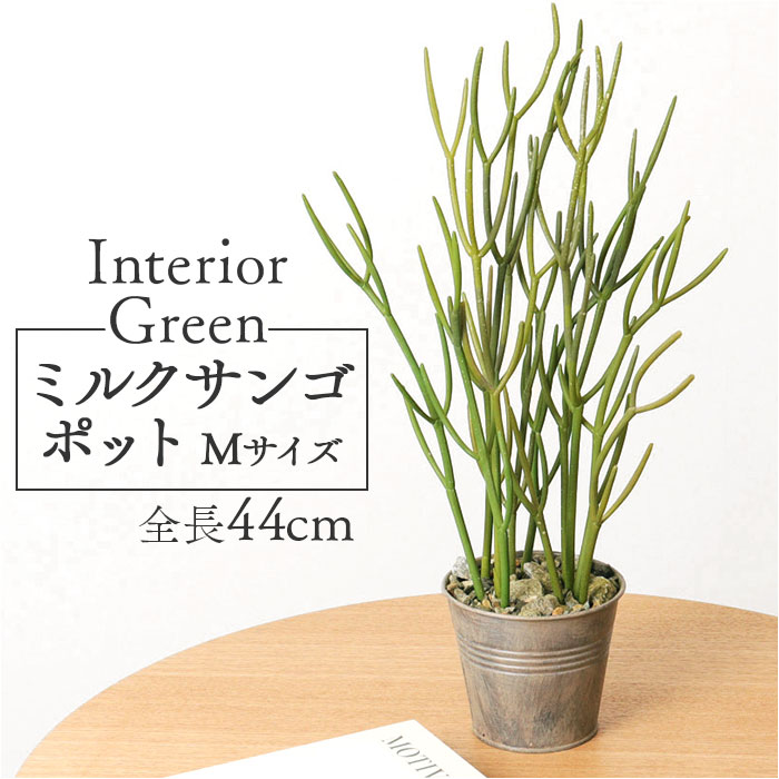 観葉植物 フェイク 大型 通販 フェイクグリーン ミルクブッシュ