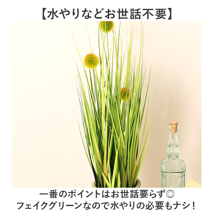 観葉植物 フェイク 大型 通販 フェイクグリーン ポンポングラス
