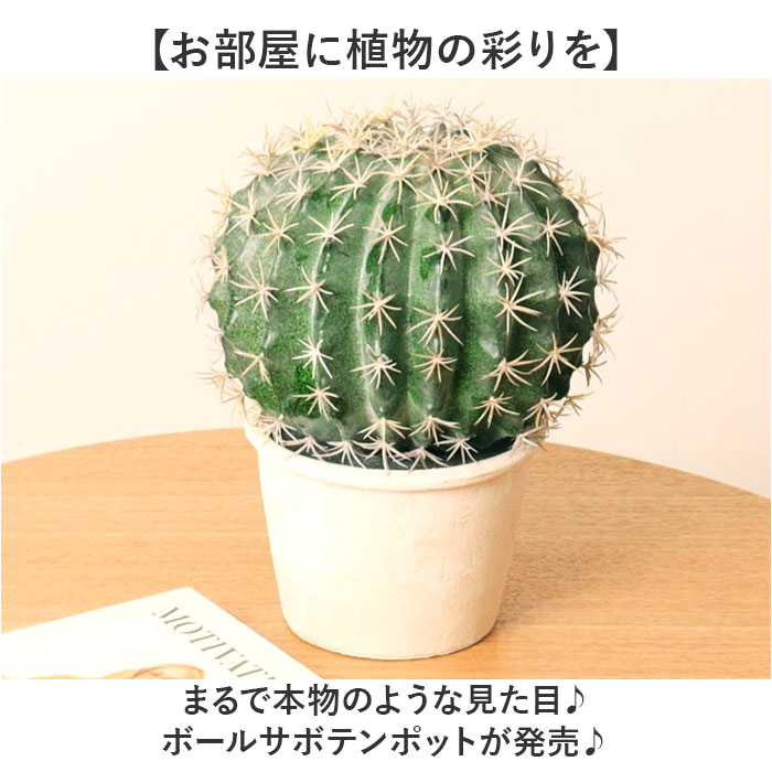 サボテン 観葉植物 大（人工観葉、フェイクグリーン）の商品一覧 | 花、ガーデニング 通販 - Yahoo!ショッピング