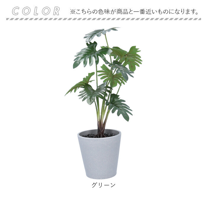 光触媒 人工観葉植物 ウォールグリーン フェイクグリーン フィカス