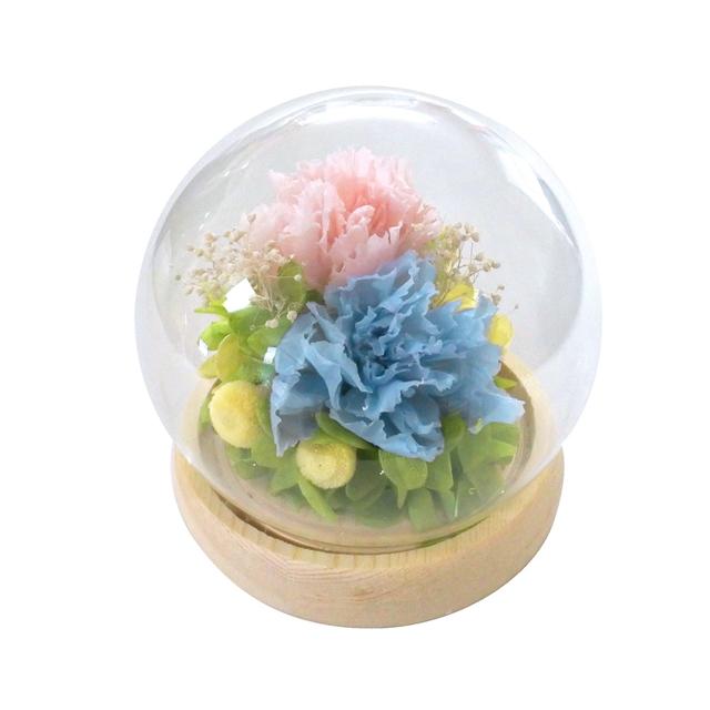 プリザーブドフラワー ガラスドーム 通販 フラワー