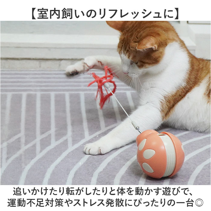 猫 おもちゃ 一人遊び 通販 猫じゃらし おやつ給餌トイ 猫用おもちゃ 運動不足解消 ストレス発散 起き上がりこぼし 餌入れおもちゃ おやつディスペンサー | BACKYARD FAMILY | 06