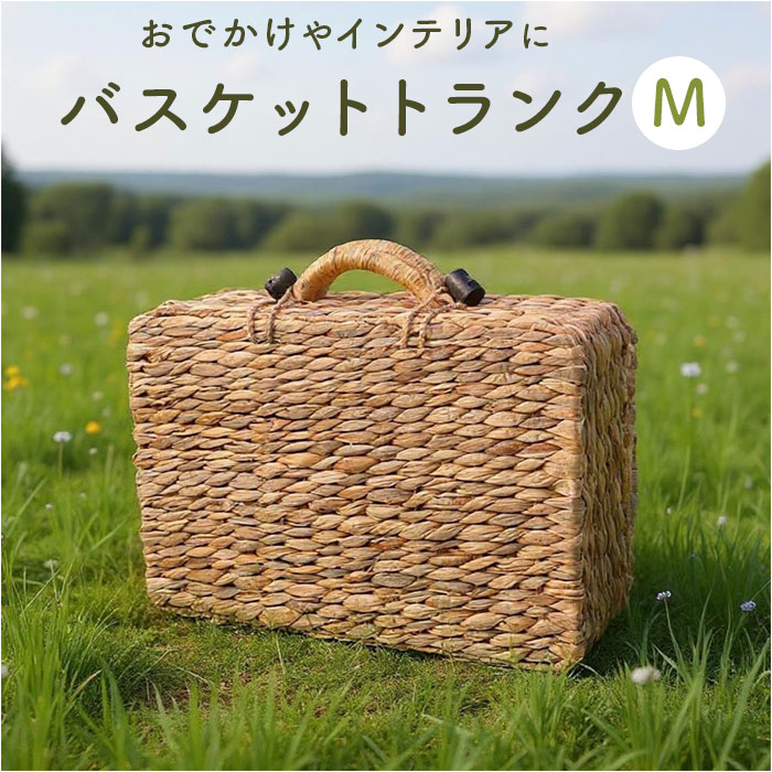 バスケット ピクニック 通販 Ｍサイズ カゴバスケット ウォーターヒヤシンスバスケット ピクニックバスケット カゴバッグ トランク バスケット | 