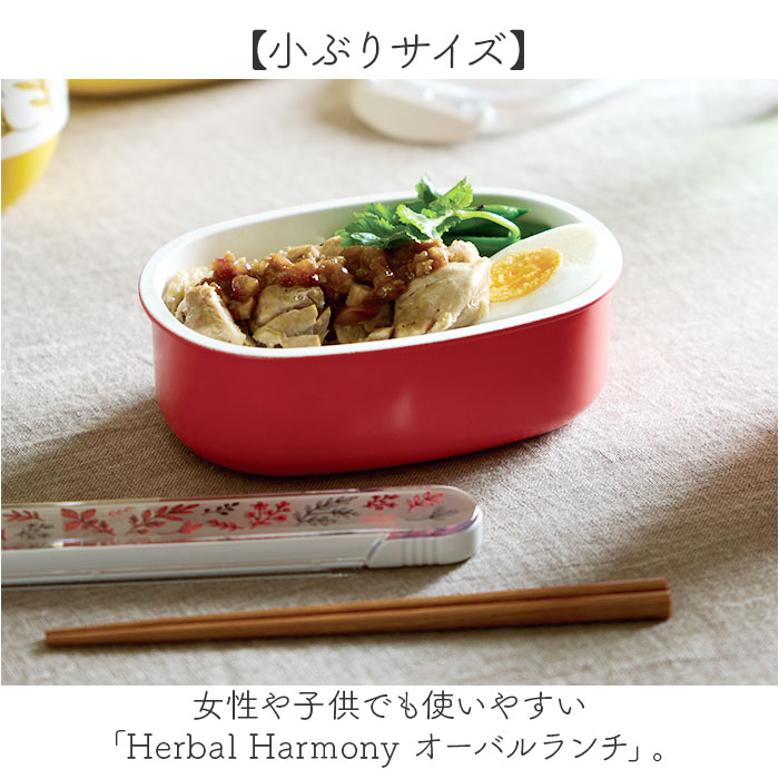 弁当箱 女子 大人 一段 通販 日本製 お弁当箱 1段 ランチボックス 500ml 小さめ 女性 子供 キッズ 子ども こども 蓋以外 電子レンジ対応 | BACKYARD FAMILY | 04