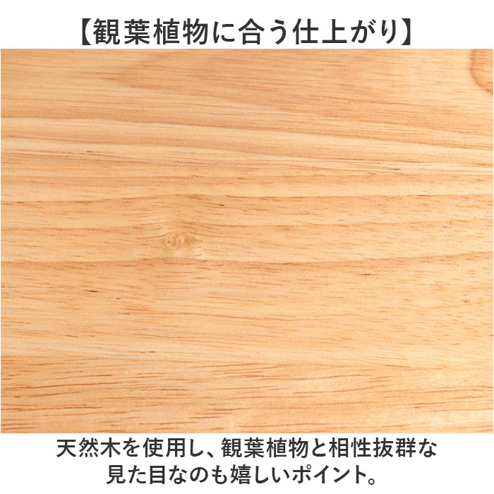 東谷 プランターテーブル 通販 プランターカバー サイドテーブル helppo 小物置き テーブル 机 植木鉢 天板 観葉植物 木製 天然木 おしゃれ ナチュラル | 東谷 | 06