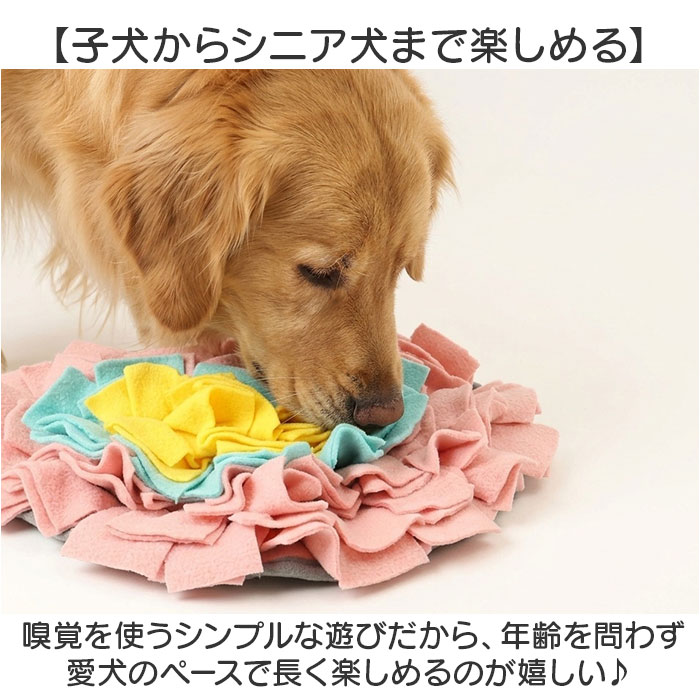 ノーズワークマット 通販 犬用知育玩具 ペットおもちゃ ストレス解消グッズ 運動不足解消 嗅覚トレーニング ハート型 フリース素材マット | BACKYARD FAMILY | 03
