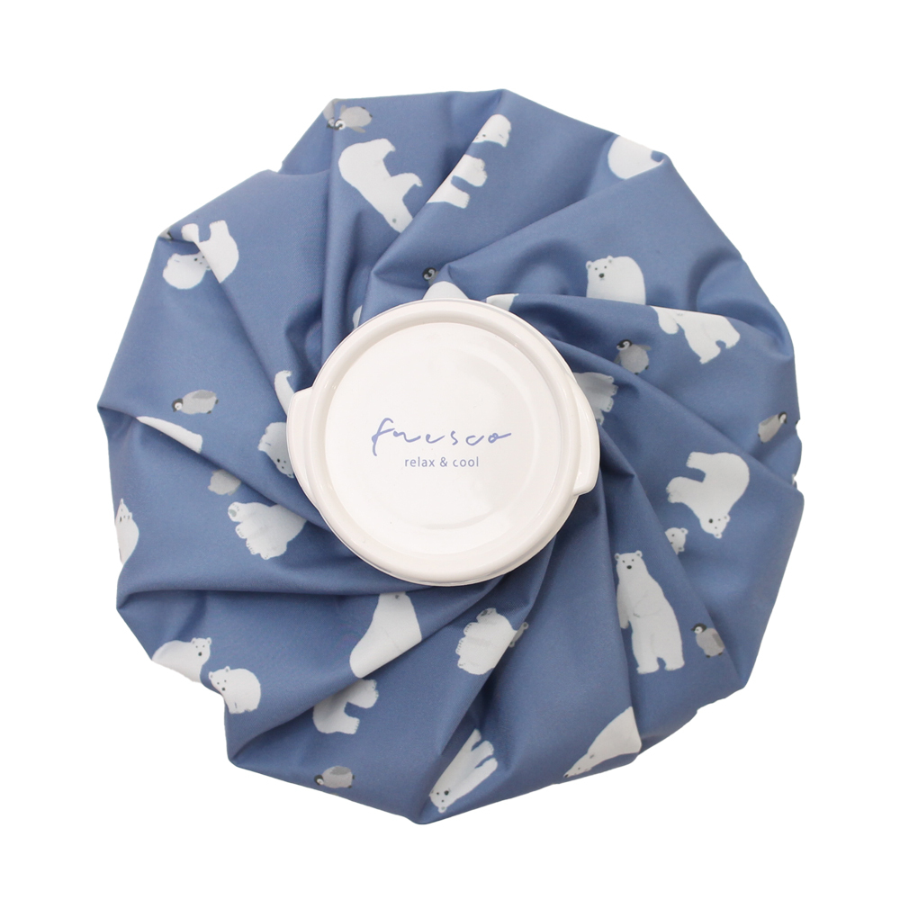 氷のう 大きめ 通販 氷嚢 アイスバッグ 暑さ対策グッズ アイシング 首 膝 肘 ひんやりグッズ 冷感グッズ 繰り返し使える 夏 通学 通勤 スポーツ観戦 氷のう | BACKYARD FAMILY | 01