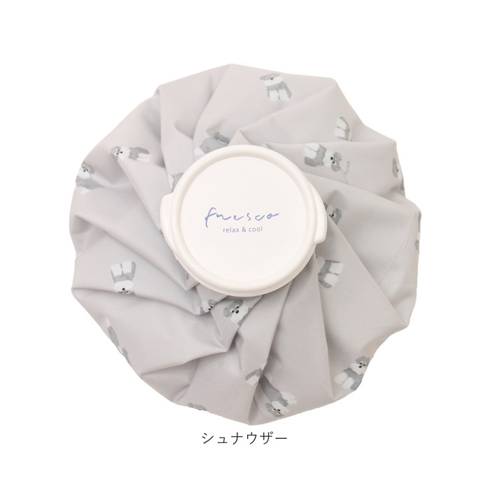 氷のう 大きめ 通販 氷嚢 アイスバッグ 暑さ対策グッズ アイシング 首 膝 肘 ひんやりグッズ 冷感グッズ 繰り返し使える 夏 通学 通勤 スポーツ観戦 氷のう | BACKYARD FAMILY | 21