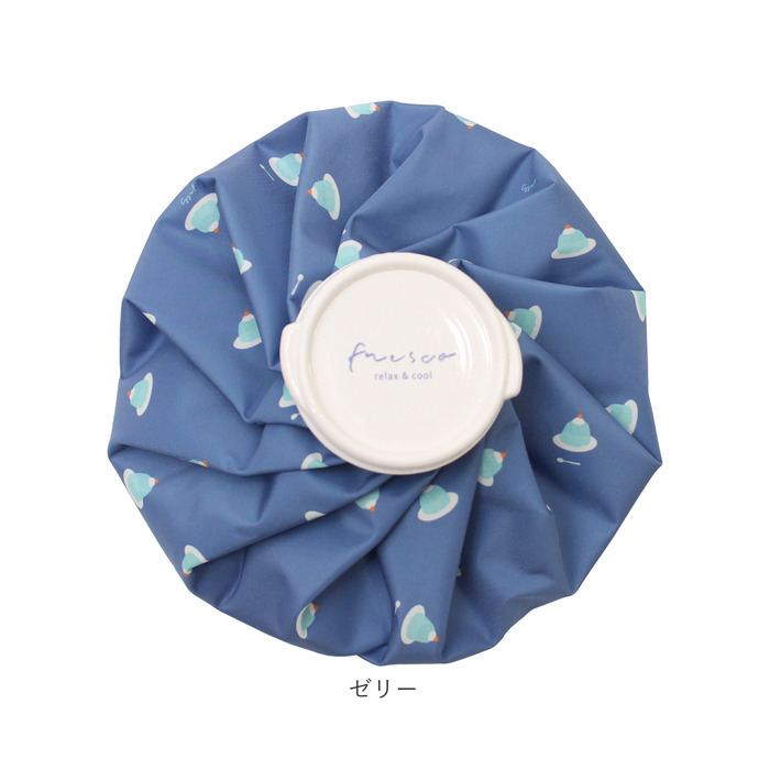 氷のう 大きめ 通販 氷嚢 アイスバッグ 暑さ対策グッズ アイシング 首 膝 肘 ひんやりグッズ 冷感グッズ 繰り返し使える 夏 通学 通勤 スポーツ観戦 氷のう | BACKYARD FAMILY | 26