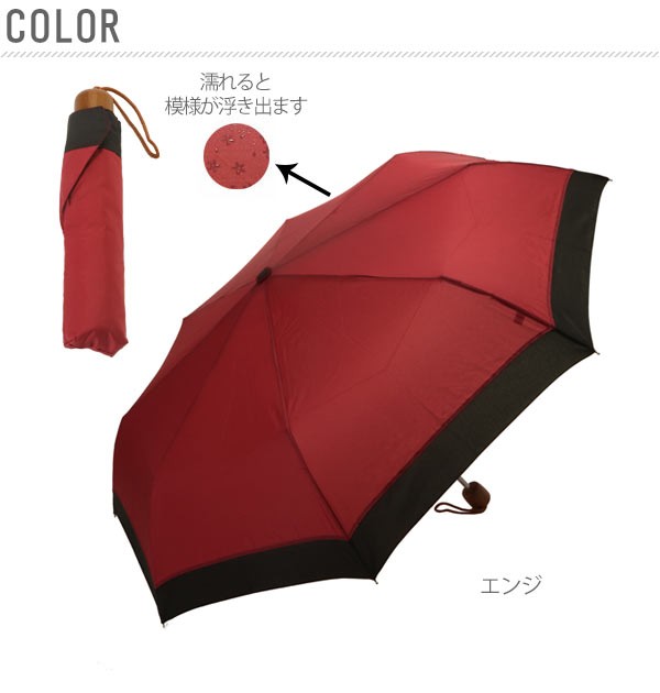 衝撃特価 COACH - COACH 花柄 折りたたみ傘 収納ケース付き