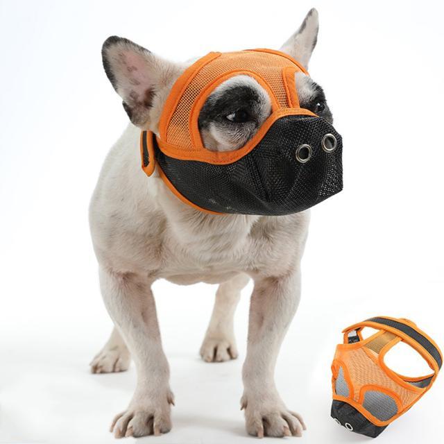 口輪 犬 通販 犬用 いぬ イヌ 短頭種 鼻穴付き 短い鼻 マズル 犬用