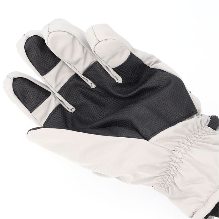 スキーグローブ レディース メンズ 通販 スキー グローブ 手袋 スノーグローブ 5本指 裏起毛 スマホ対応 保温 滑り止め すべり止め 暖かい スキーグローブ | DNS | 10