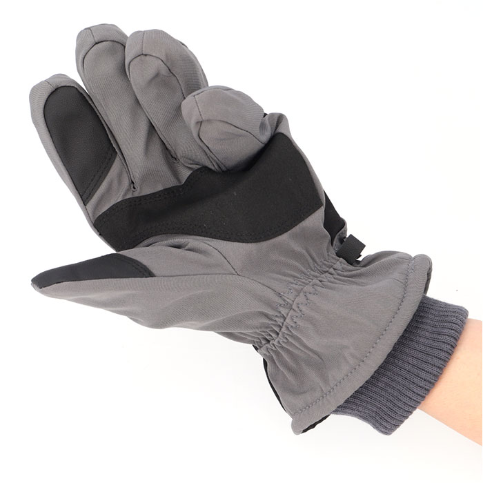 スキーグローブ レディース メンズ 通販 スキー グローブ 手袋 スノーグローブ 5本指 裏起毛 スマホ対応 保温 滑り止め すべり止め 暖かい スキーグローブ | DNS | 12