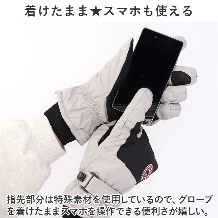 スキーグローブ レディース メンズ 通販 スキー グローブ 手袋 スノーグローブ 5本指 裏起毛 スマホ対応 保温 滑り止め すべり止め 暖かい スキーグローブ | DNS | 02