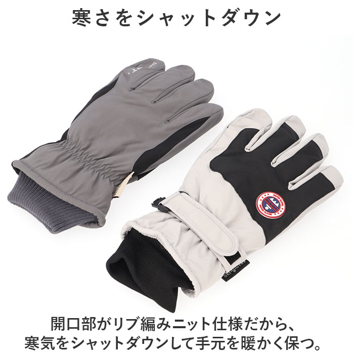 スキーグローブ レディース メンズ 通販 スキー グローブ 手袋 スノーグローブ 5本指 裏起毛 スマホ対応 保温 滑り止め すべり止め 暖かい スキーグローブ | DNS | 05