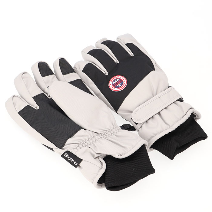 スキーグローブ レディース メンズ 通販 スキー グローブ 手袋 スノーグローブ 5本指 裏起毛 スマホ対応 保温 滑り止め すべり止め 暖かい スキーグローブ | DNS | 08