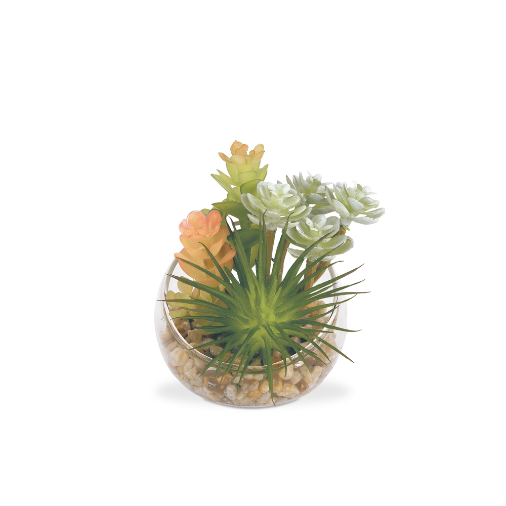 CT触媒 フェイクグリーン 通販 キシマ Sサイズ アーティフィシャルグリーン 観葉植物 フェイク グリーン 人工観葉植物 卓上 多肉植物 寄せ植え CT触媒 | キシマ | 02
