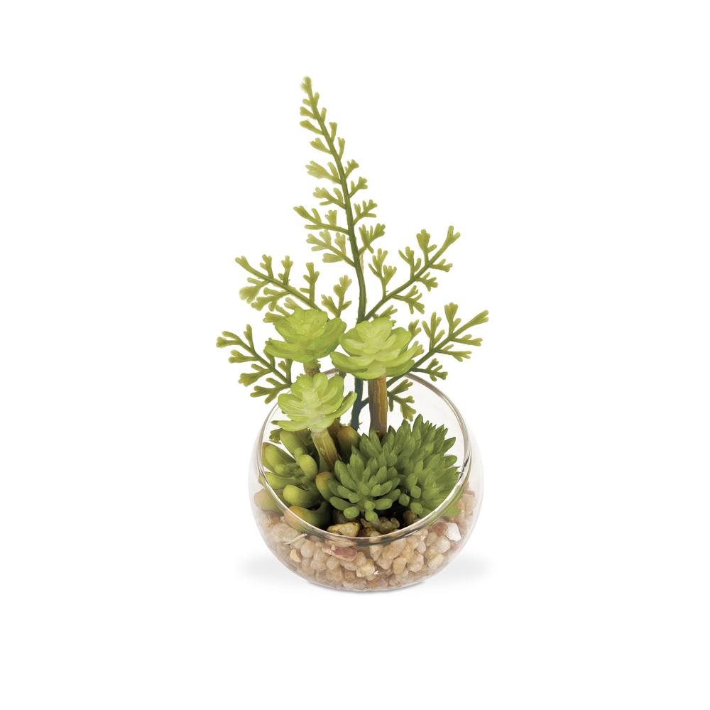 CT触媒 フェイクグリーン 通販 キシマ Sサイズ アーティフィシャルグリーン 観葉植物 フェイク グリーン 人工観葉植物 卓上 多肉植物 寄せ植え CT触媒 | キシマ | 03