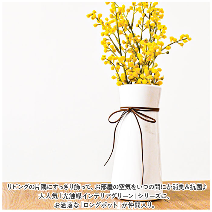 フェイクグリーン 光触媒 消臭 花（造花、アートフラワー）の商品一覧