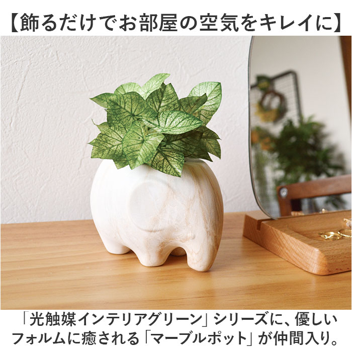 光触媒 マーブルポット 通販 ボウルポット フェイクグリーン ポット プランター 植木鉢 装飾 観葉植物 植物 飾る 飾り インテリアグリーン 消臭 光触媒 | BACKYARD FAMILY | 05