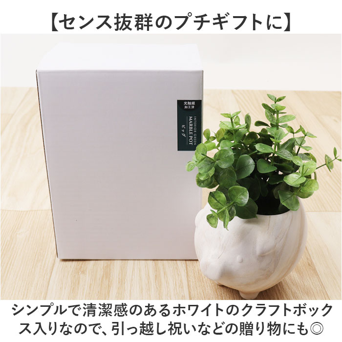 光触媒 マーブルポット 通販 ボウルポット フェイクグリーン ポット プランター 植木鉢 装飾 観葉植物 植物 飾る 飾り インテリアグリーン 消臭 光触媒 | BACKYARD FAMILY | 15