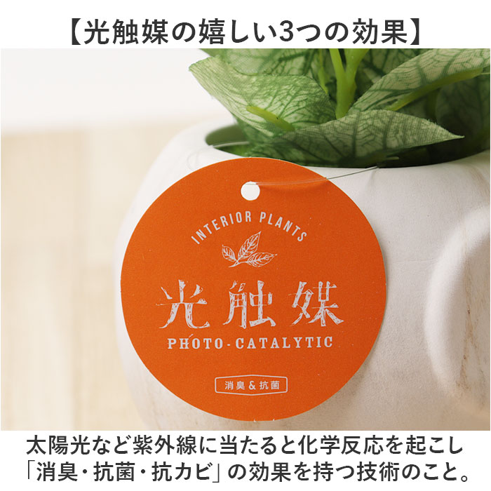 光触媒 マーブルポット 通販 ボウルポット フェイクグリーン ポット プランター 植木鉢 装飾 観葉植物 植物 飾る 飾り インテリアグリーン 消臭 光触媒 | BACKYARD FAMILY | 07