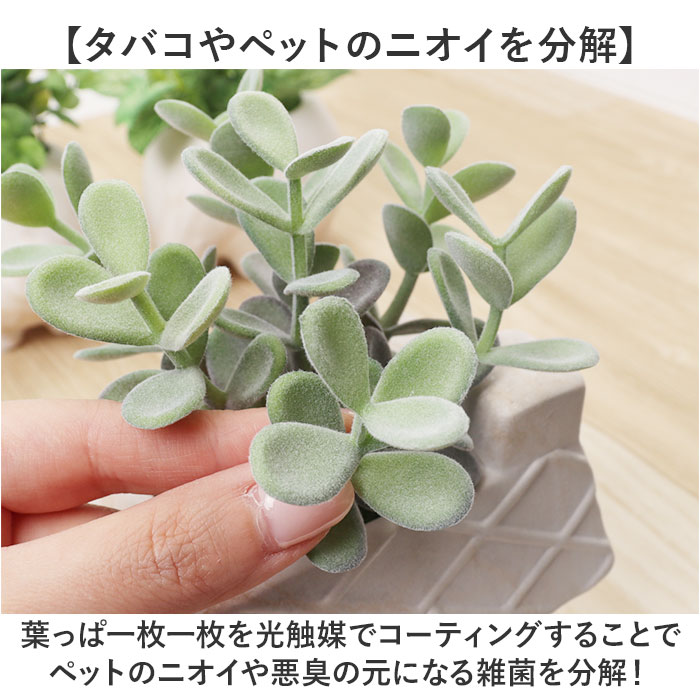 光触媒 マーブルポット 通販 ボウルポット フェイクグリーン ポット プランター 植木鉢 装飾 観葉植物 植物 飾る 飾り インテリアグリーン 消臭 光触媒 | BACKYARD FAMILY | 08