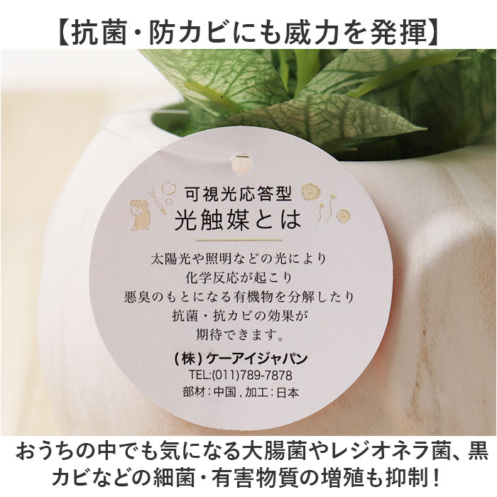 光触媒 マーブルポット 通販 ボウルポット フェイクグリーン ポット プランター 植木鉢 装飾 観葉植物 植物 飾る 飾り インテリアグリーン 消臭 光触媒 | BACKYARD FAMILY | 09