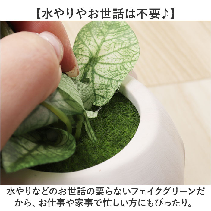 光触媒 マーブルポット 通販 ボウルポット フェイクグリーン ポット プランター 植木鉢 装飾 観葉植物 植物 飾る 飾り インテリアグリーン 消臭 光触媒 | BACKYARD FAMILY | 11