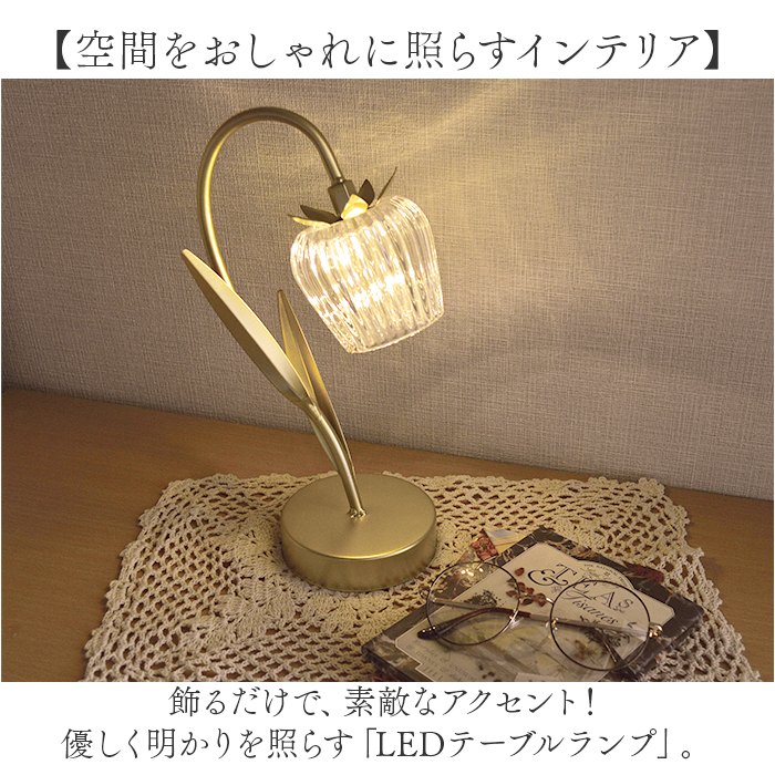 BACKYARD FAMILY（バックヤードファミリー） ケーアイジャパン LED
