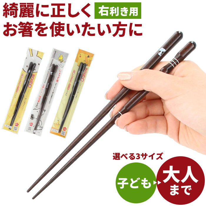 矯正箸 子供 通販 お箸 18cm 21cm 23cm キャラクター グッズ は
