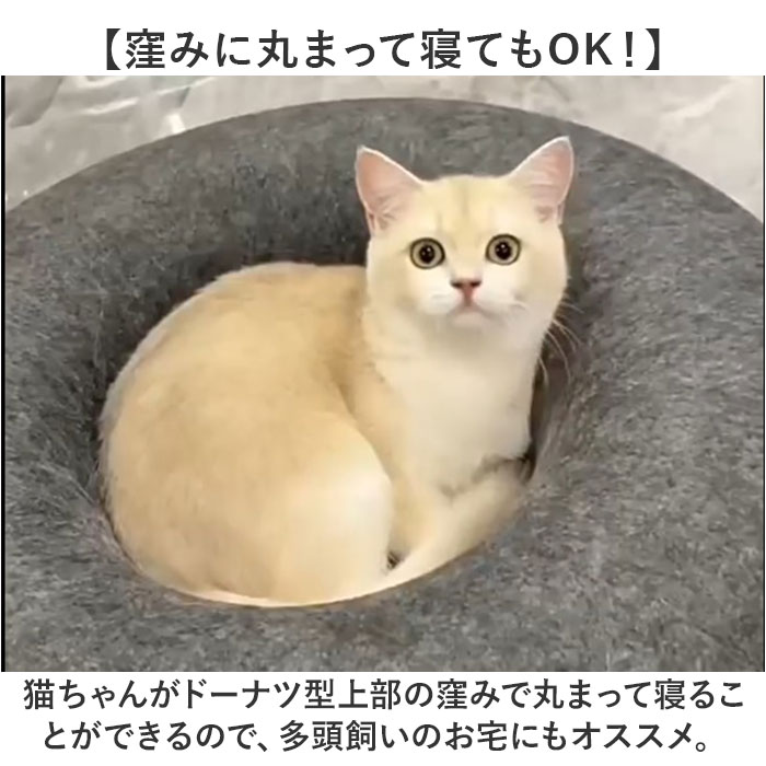 キャットハウス 猫 通販 猫用ベッド 猫ハウス ドーム型 クッション もぐる 寝る 遊ぶ フエルト ドームベッド キャットベッド 猫用品 ベッド キャットハウス |  | 08