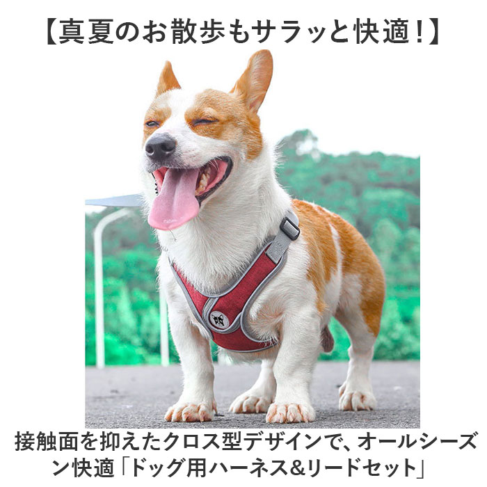 ハーネスリード 犬 通販 ハーネス リード付き ハーネスリードセット ハーネス＆リード 胴輪 首輪 リードセット 犬具 簡単装着 一体型 犬用 猫用 ハーネスリード |  | 01