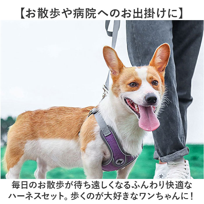ハーネスリード 犬 通販 ハーネス リード付き ハーネスリードセット ハーネス＆リード 胴輪 首輪 リードセット 犬具 簡単装着 一体型 犬用 猫用 ハーネスリード |  | 12