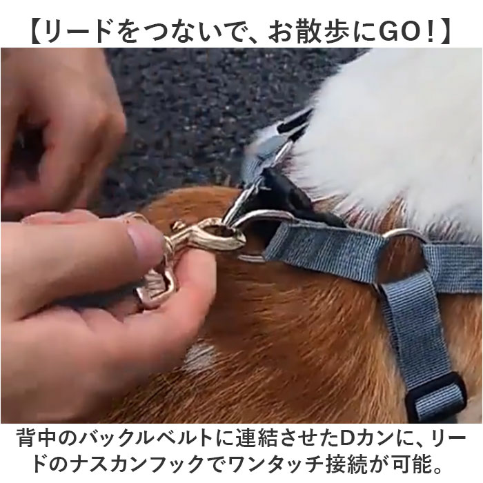 ハーネスリード 犬 通販 ハーネス リード付き ハーネスリードセット ハーネス＆リード 胴輪 首輪 リードセット 犬具 簡単装着 一体型 犬用 猫用 ハーネスリード |  | 06