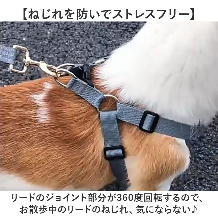 ハーネスリード 犬 通販 ハーネス リード付き ハーネスリードセット ハーネス＆リード 胴輪 首輪 リードセット 犬具 簡単装着 一体型 犬用 猫用 ハーネスリード |  | 07