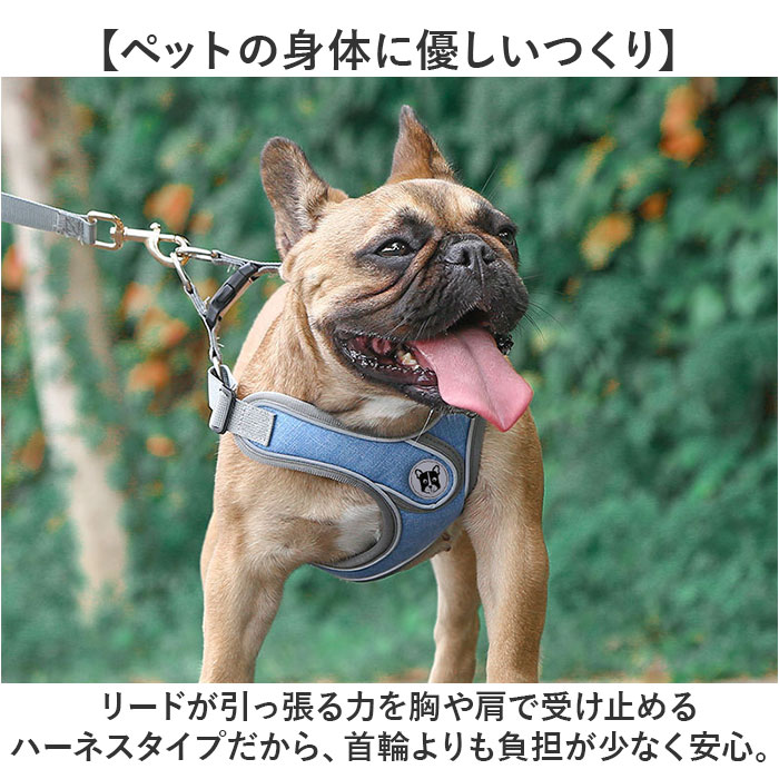 ハーネスリード 犬 通販 ハーネス リード付き ハーネスリードセット ハーネス＆リード 胴輪 首輪 リードセット 犬具 簡単装着 一体型 犬用 猫用 ハーネスリード |  | 09