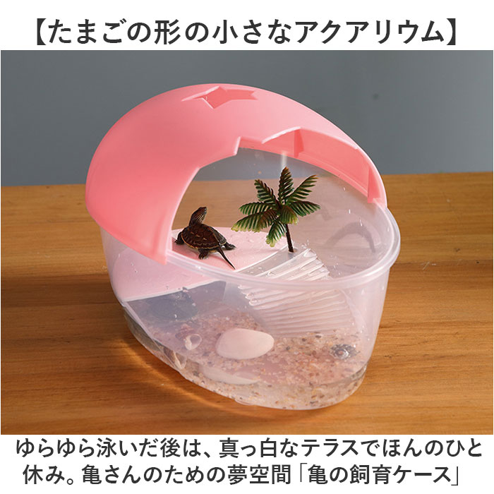 亀 飼育ケース 通販 カメの水槽 カメの飼育ケース タートルタンク 亀の水槽 お手入れ簡単 保護カバー 透明フェンス 脱走防止 亀ケース 亀ボックス 亀 | BACKYARD FAMILY | 06