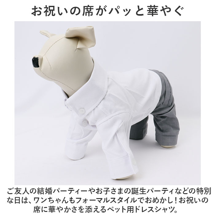 ペット 服 シャツ 犬 いぬ 通販 フォーマルスーツ スーツ 礼服