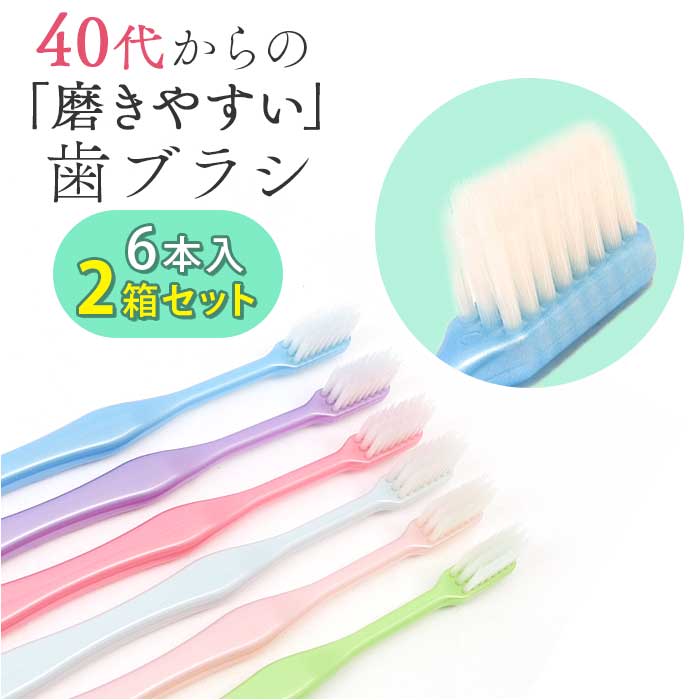磨きやすい歯ブラシ 田辺重吉 通販 みがきやすい歯ブラシ 6本組 2箱セット 40代からの磨きやすい歯ブラシ LT-59 歯ブラシ ハブラシ はぶらし