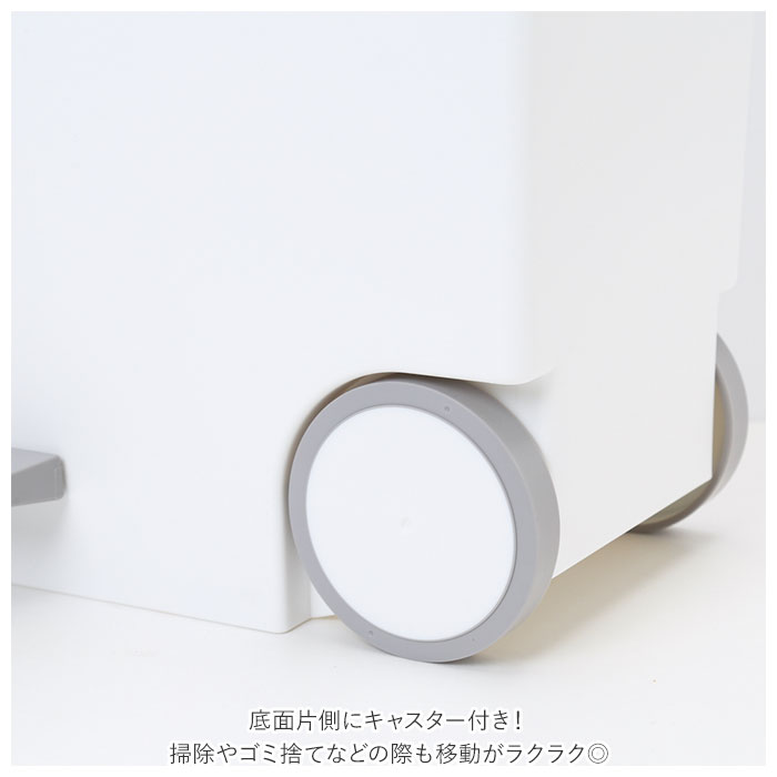 キッチン ゴミ箱 ペダル 33L 通販 ごみ箱 スリム 分別 ペダル式ゴミ箱 低く開く ダストボックス 横型 ヨコ型 おしゃれ 蓋つき ふた付き 分別ゴミ箱 キッチン | ペダルペール | 16